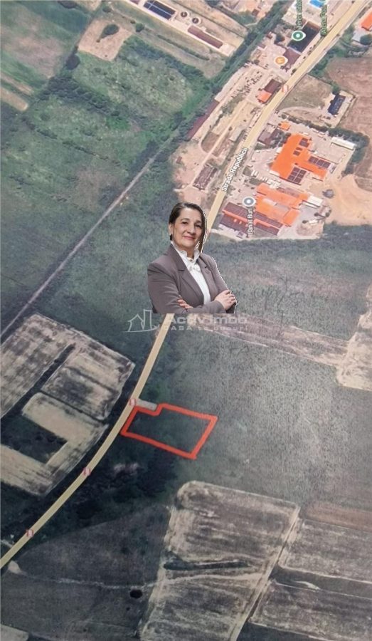 Bocsa 2 terenuri INTRAV. 1500 Mp(15 900 Euro) si 3000 Mp.(30.900 Euro) la Drumul National. - 