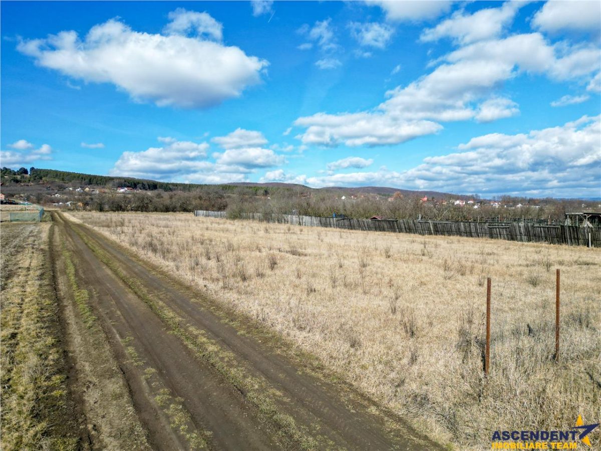 FILM! Liniste si aer curat in proximitatea Municipiului Sfantu Gheorghe - 