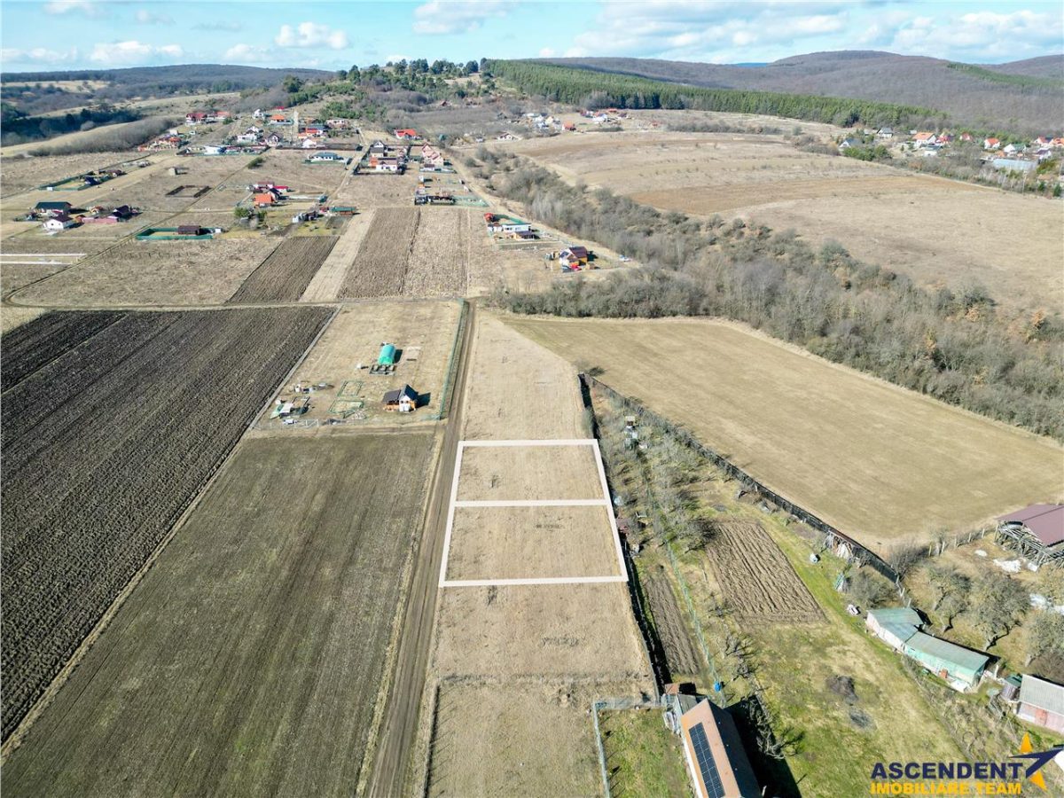 FILM! Liniste si aer curat in proximitatea Municipiului Sfantu Gheorghe - foto 3