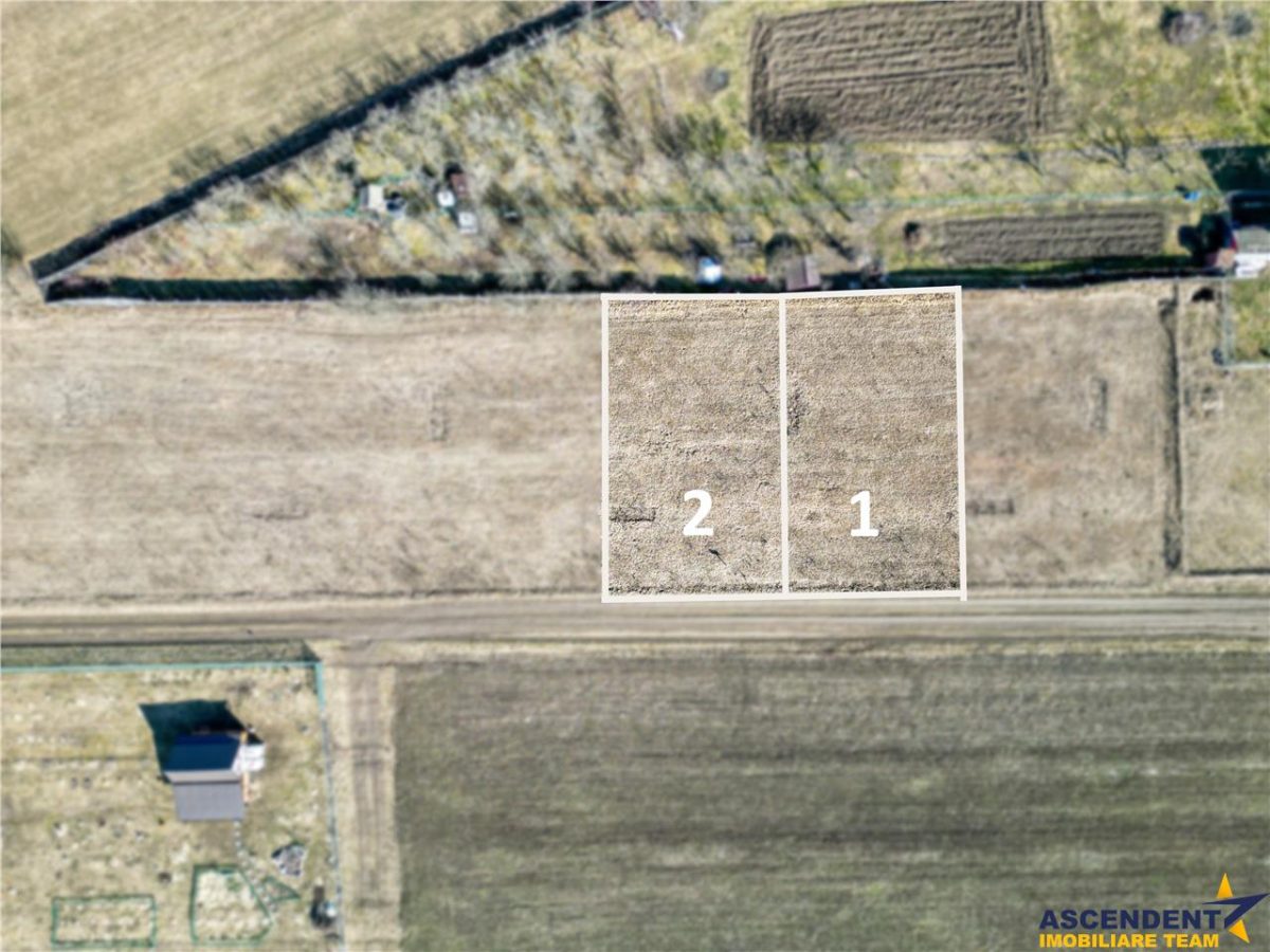 FILM! Liniste si aer curat in proximitatea Municipiului Sfantu Gheorghe - foto 4