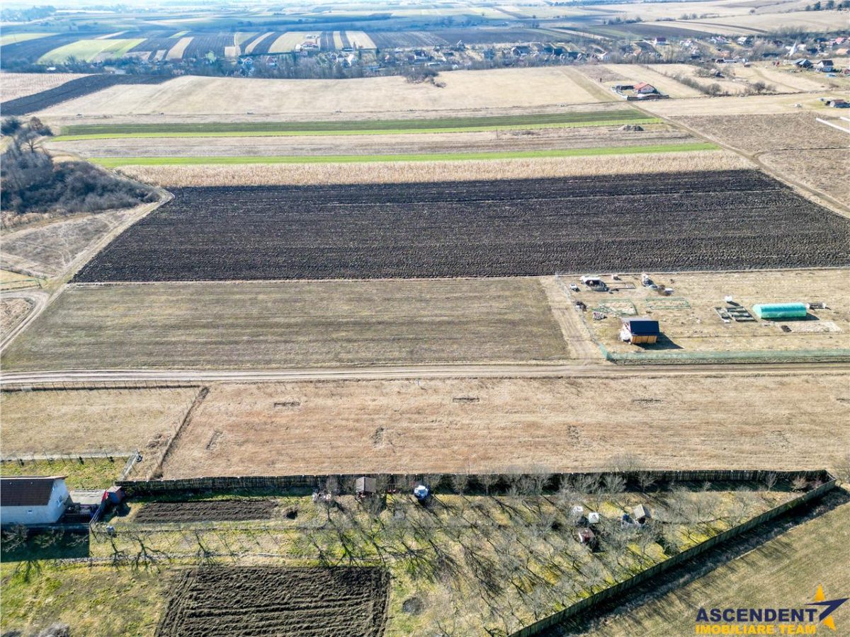 FILM! Liniste si aer curat in proximitatea Municipiului Sfantu Gheorghe - foto 5