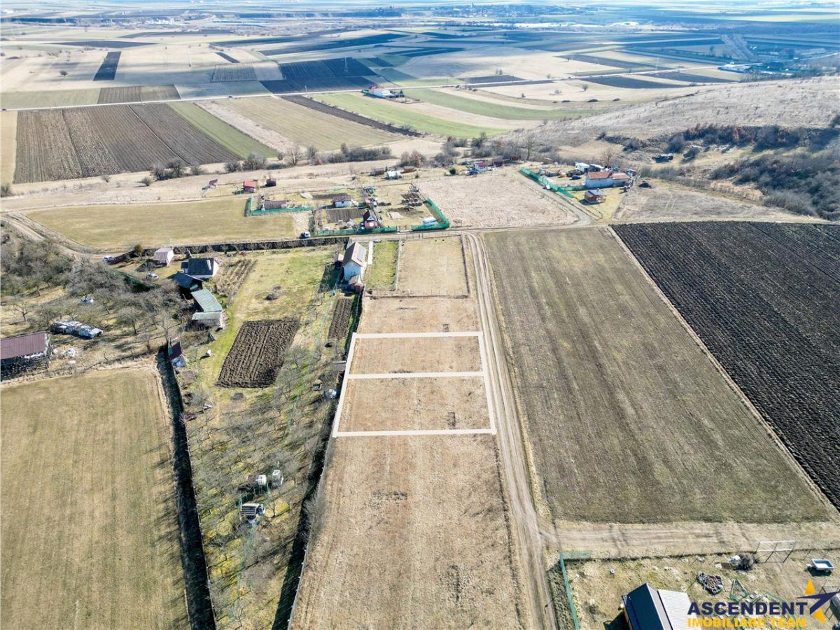 FILM! Liniste si aer curat in proximitatea Municipiului Sfantu Gheorghe - foto 6