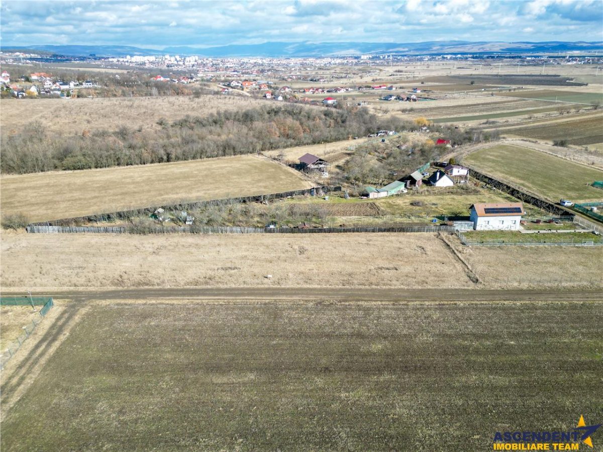 FILM! Liniste si aer curat in proximitatea Municipiului Sfantu Gheorghe - foto 7