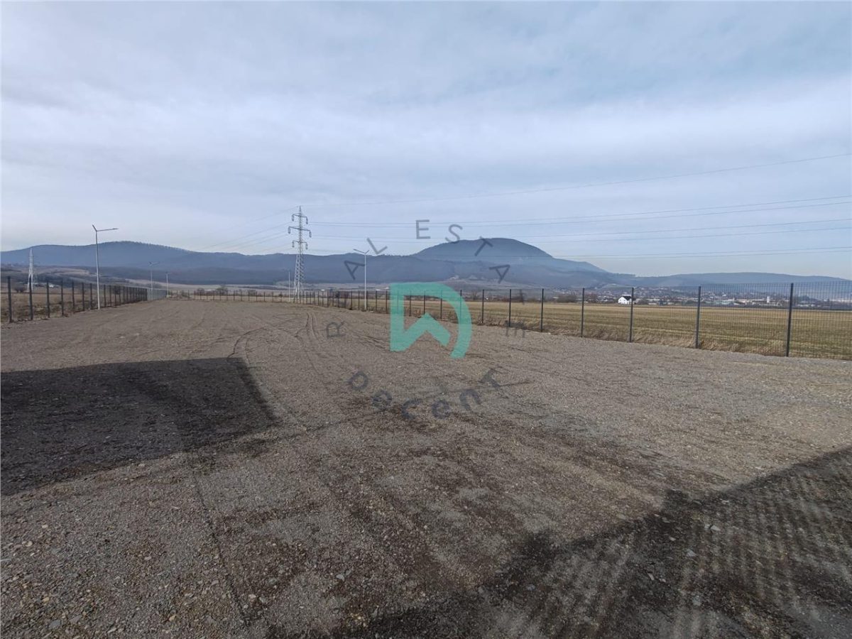 Teren intravilan Industrial, 38800 mp, cu Autorizatie de Construire, Codlea Brasov - 