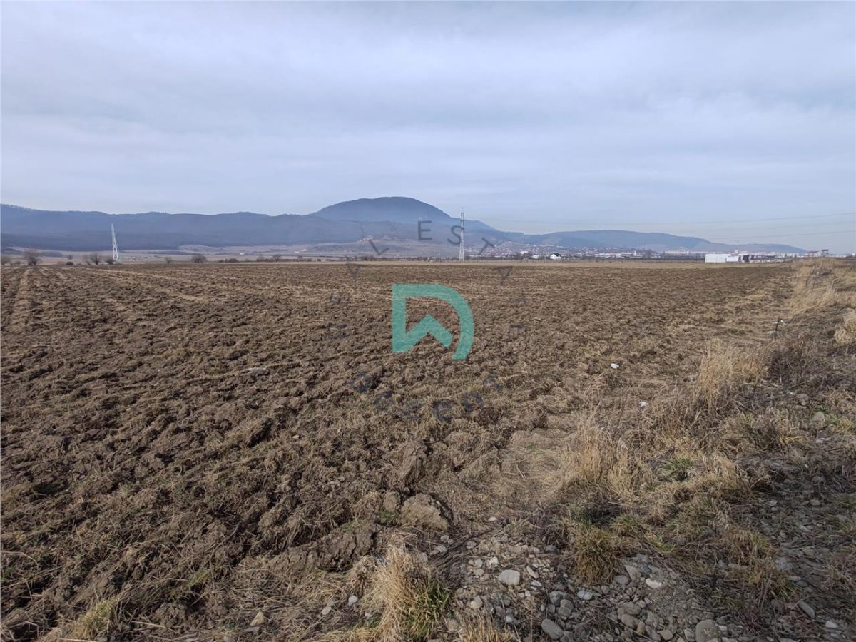 Teren intravilan Industrial, 38800 mp, cu Autorizatie de Construire, Codlea Brasov - foto 4