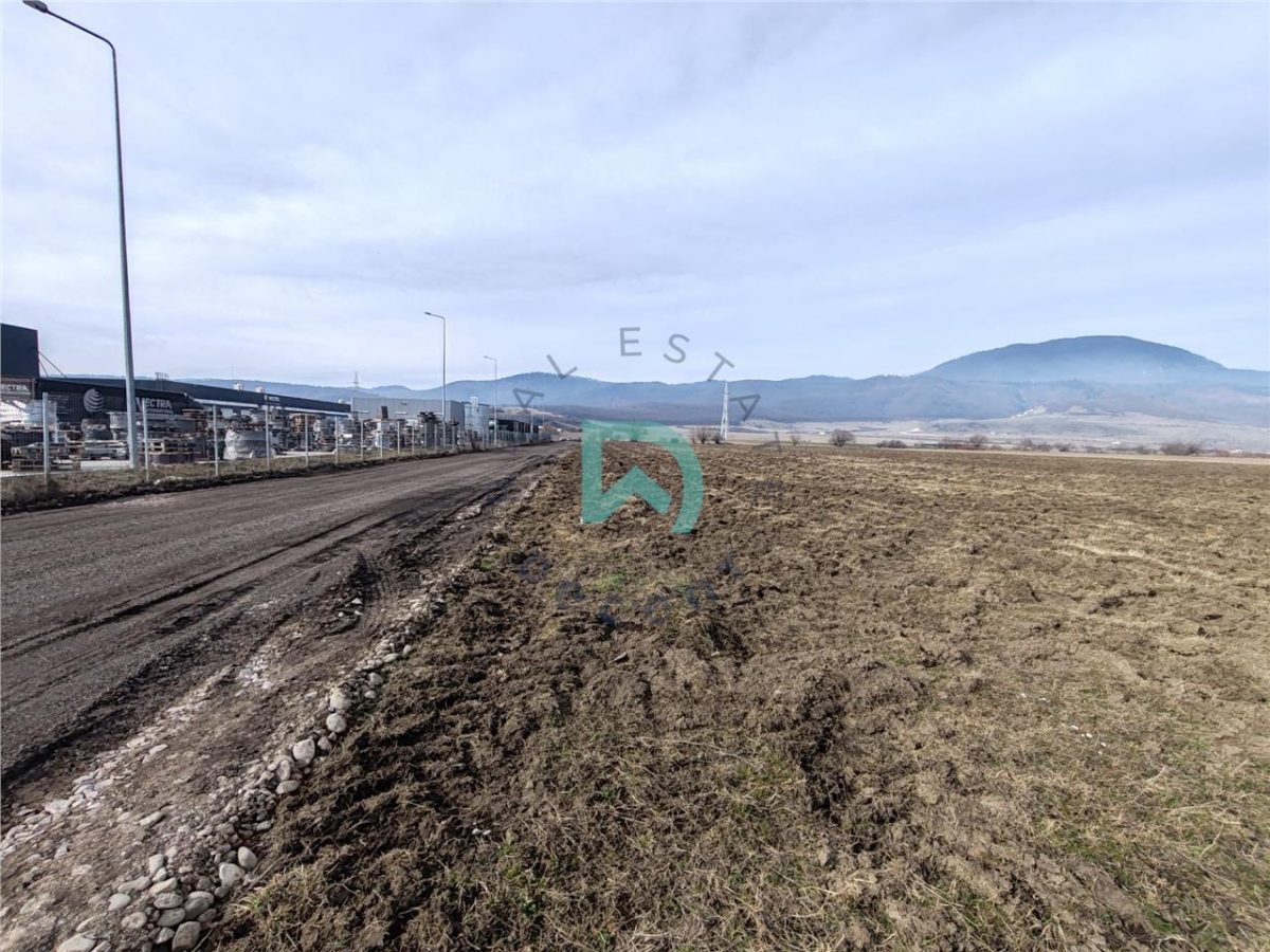Teren intravilan Industrial, 38800 mp, cu Autorizatie de Construire, Codlea Brasov - foto 5