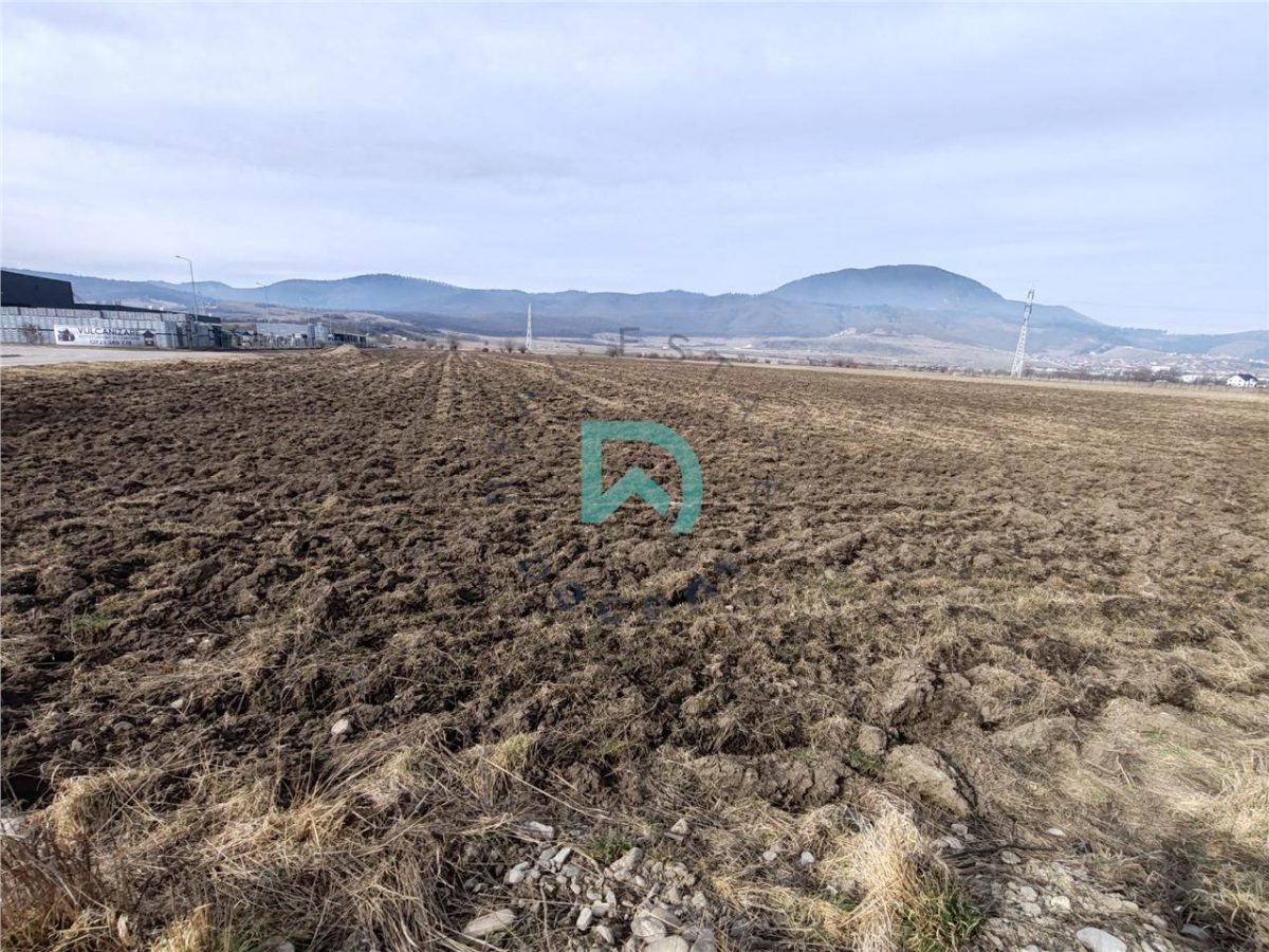 Teren intravilan Industrial, 38800 mp, cu Autorizatie de Construire, Codlea Brasov - foto 7