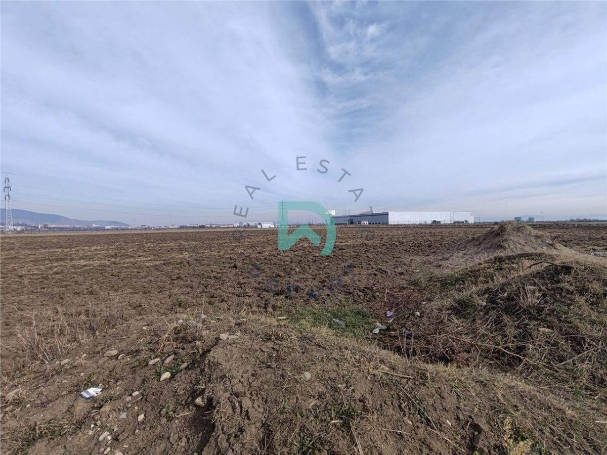 Teren intravilan Industrial, 38800 mp, cu Autorizatie de Construire, Codlea Brasov - foto 8