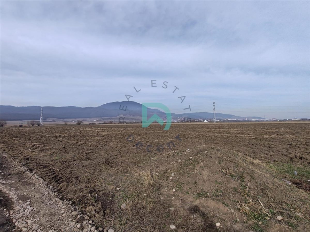 Teren intravilan Industrial, 38800 mp, cu Autorizatie de Construire, Codlea Brasov - foto 9