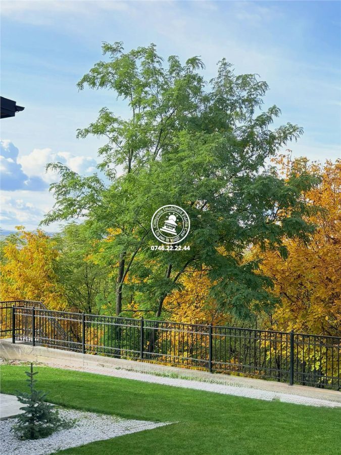 Vila 5 camere , D+P+1E , 775mp teren,langa padure - Valea Lupului , Iasi - foto 8