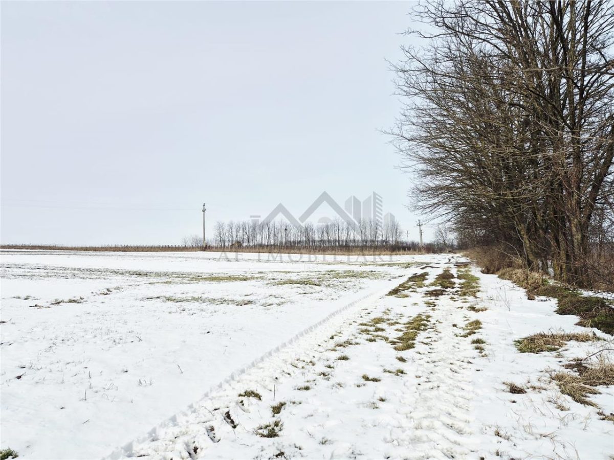 Teren intravilan de vanzare la 11 km de Palatul Culturii Iasi - Holboca