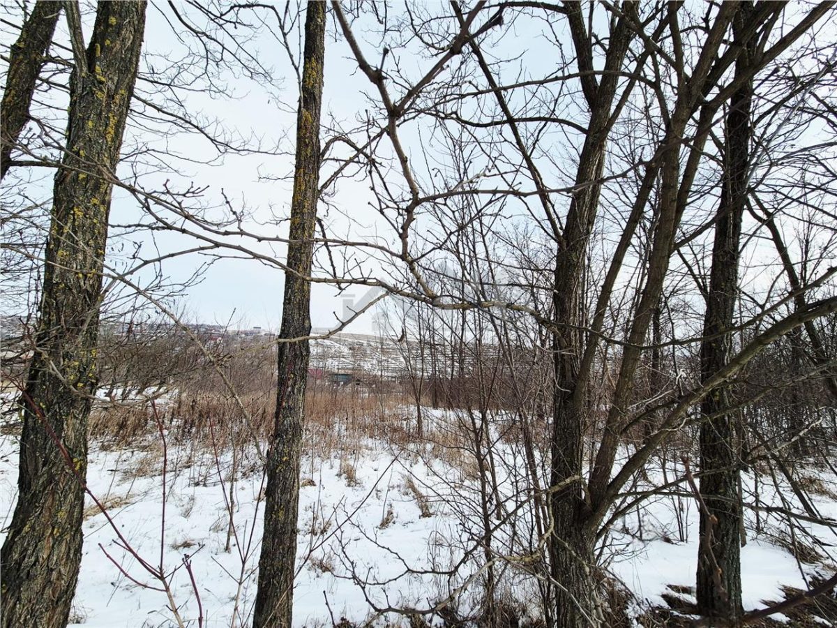 Teren intravilan de vanzare la 11 km de Palatul Culturii Iasi - foto 2