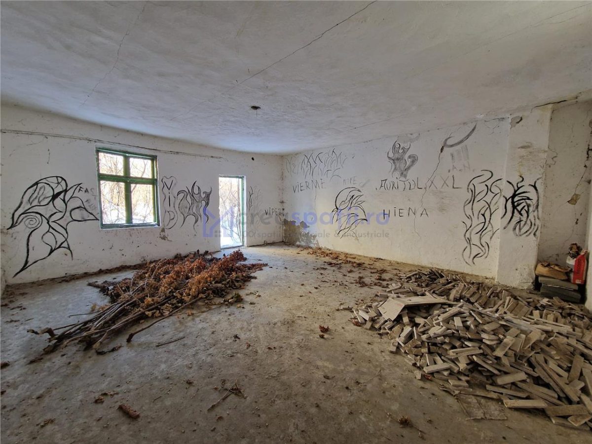 Spatiu versatil 296mp, teren 1766mp, Visan - foto 5