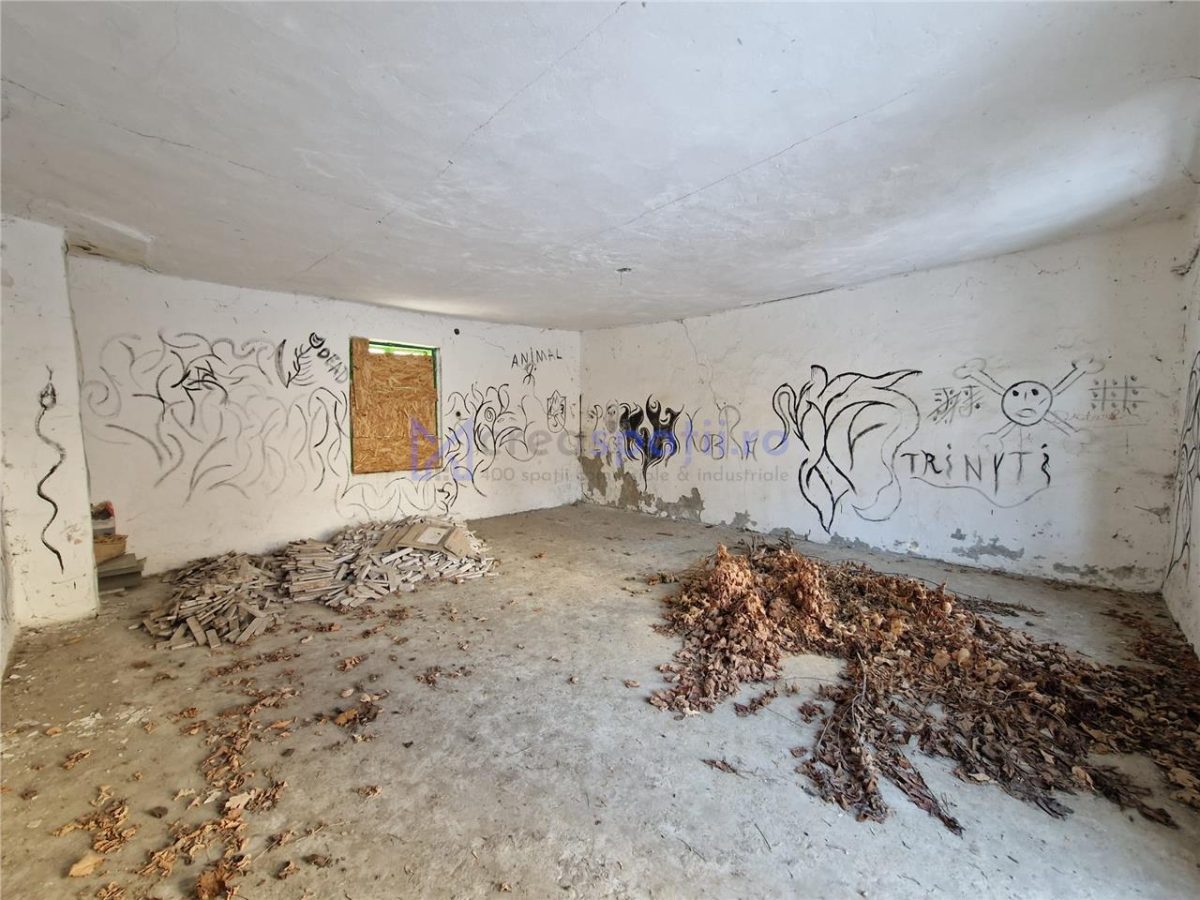 Spatiu versatil 296mp, teren 1766mp, Visan - foto 6