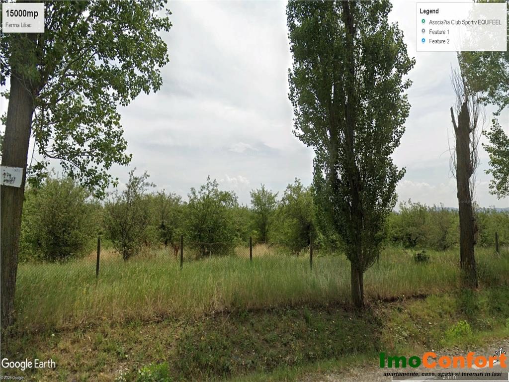 15000mp Ferma Liliac cu 47m deschidere la asfalt - foto 4