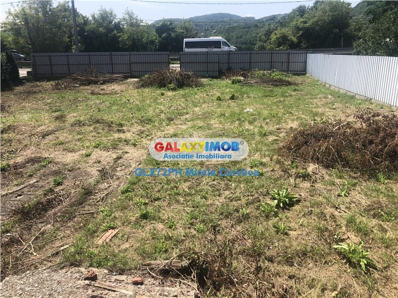 Vanzare Casa Campina -Cornu DN1 - foto 19