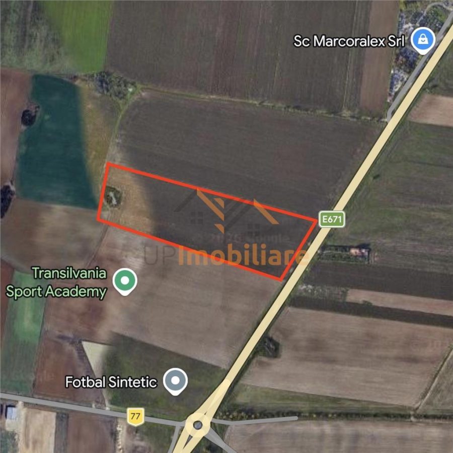 TEREN INTRAVILAN 24457 MP | 80 ML FRONT STRADAL | ORADEA | BIHOR - 