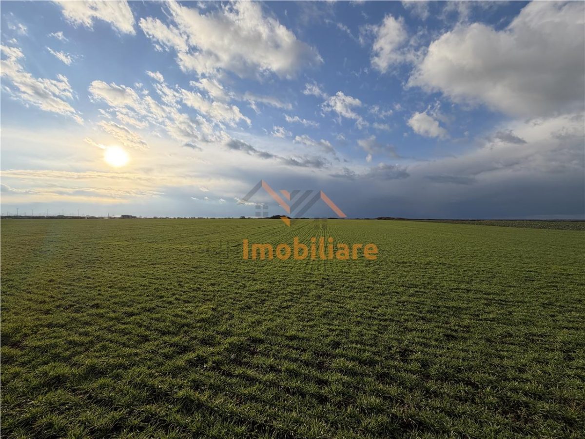 TEREN INTRAVILAN 24457 MP | 80 ML FRONT STRADAL | ORADEA | BIHOR - foto 2