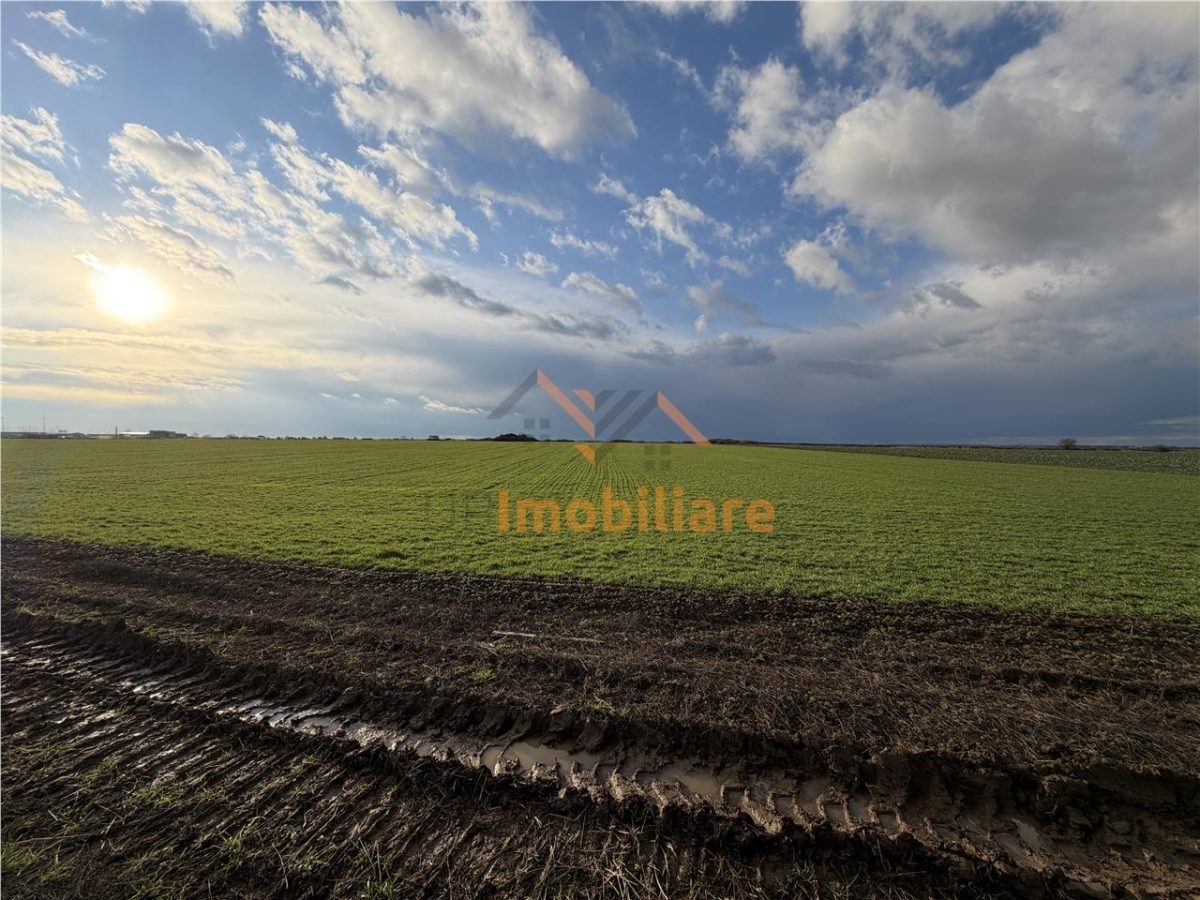 TEREN INTRAVILAN 24457 MP | 80 ML FRONT STRADAL | ORADEA | BIHOR - foto 4