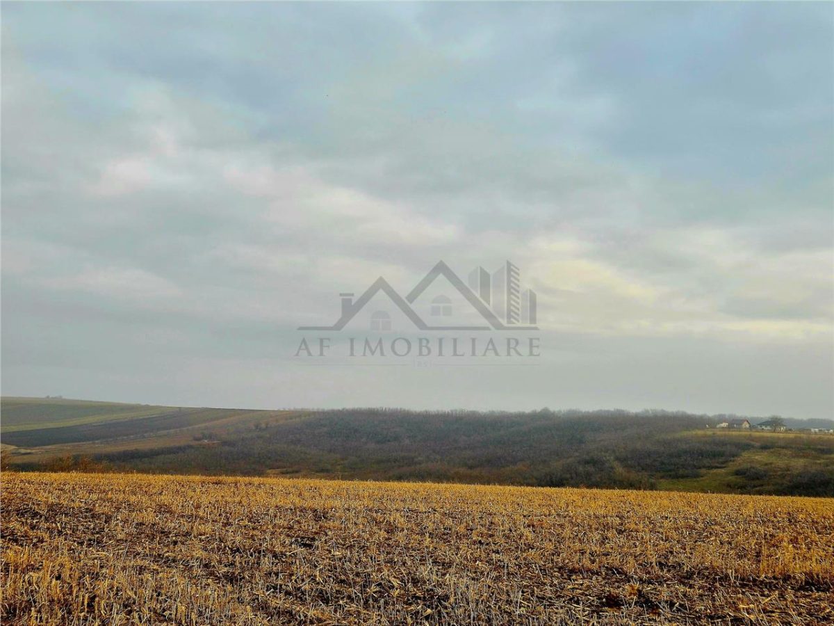 Teren pentru casa cu autorizatie si cu vedere frumoasa - foto 8