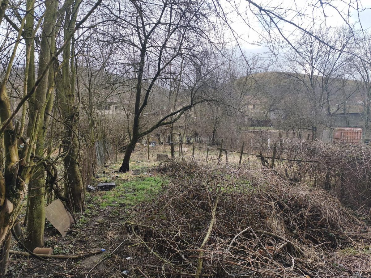 Casa Caramida Arsa cu Placa de Beton si Teren    Cartier Doman - foto 6