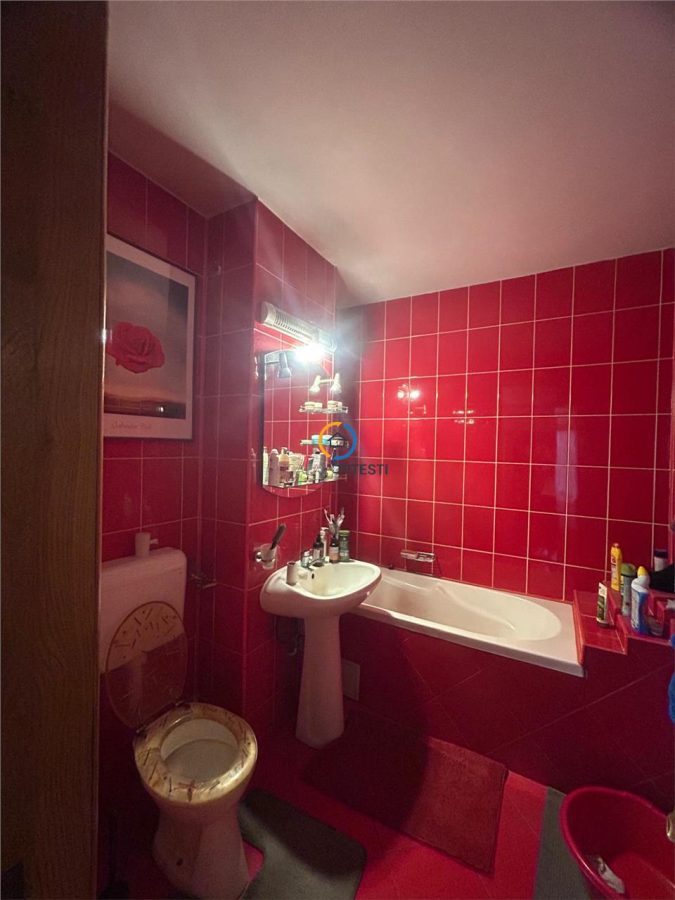 APARTAMENT 2 CAMERE Eremia Grigorescu - foto 6