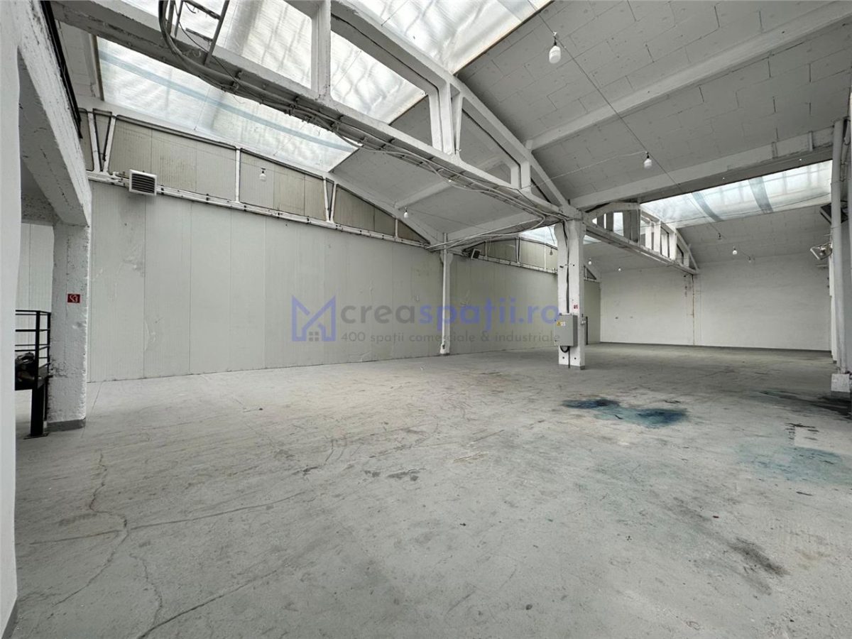 Hala/ showroom, 231mp, zona Carrefour Felicia, Kaufland - foto 10