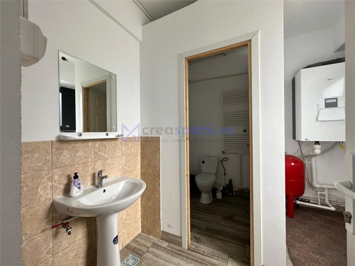 Hala/ showroom, 231mp, zona Carrefour Felicia, Kaufland - foto 11