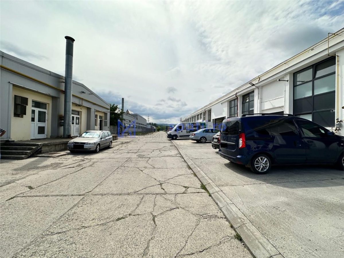 Hala/ showroom, 231mp, zona Carrefour Felicia, Kaufland - foto 8