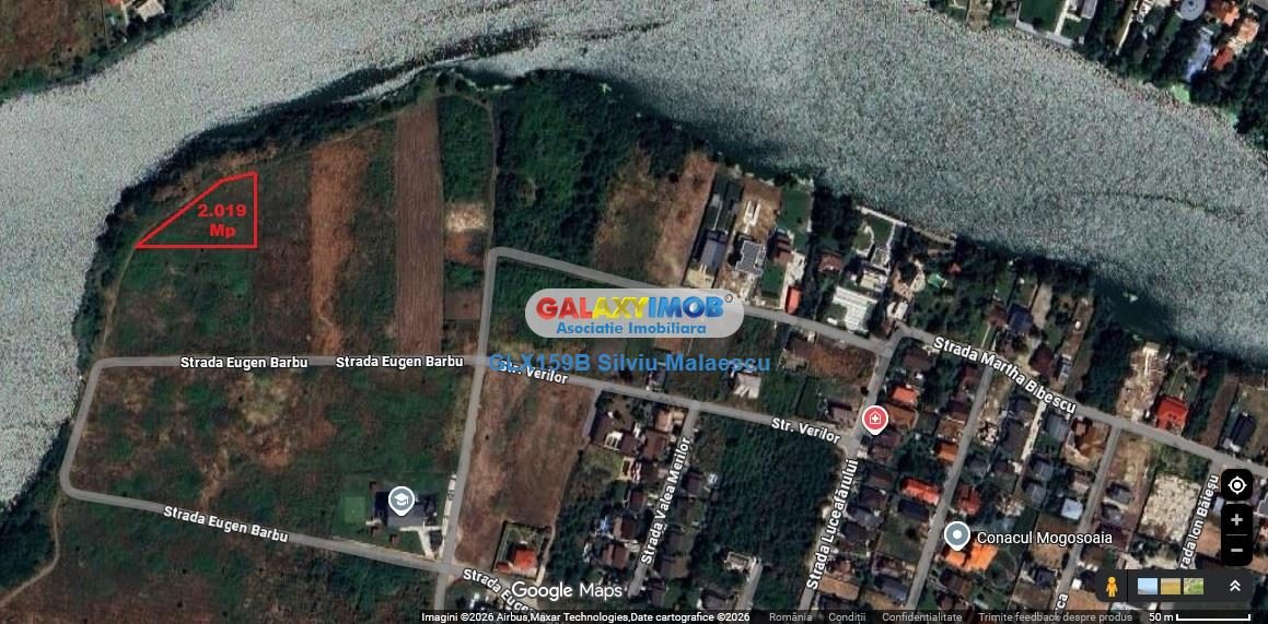 Mogosoaia 2.019 Mp LAC - IDEAL INVESTITIE - foto 5