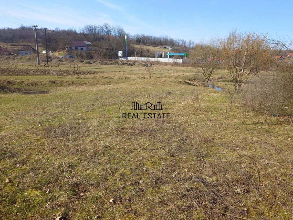 Teren intravilan la liziera padurii - foto 4