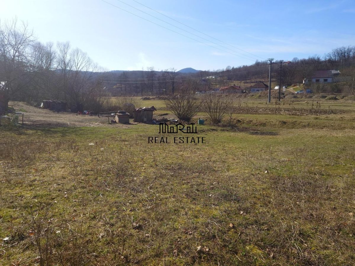 Teren intravilan la liziera padurii - foto 5