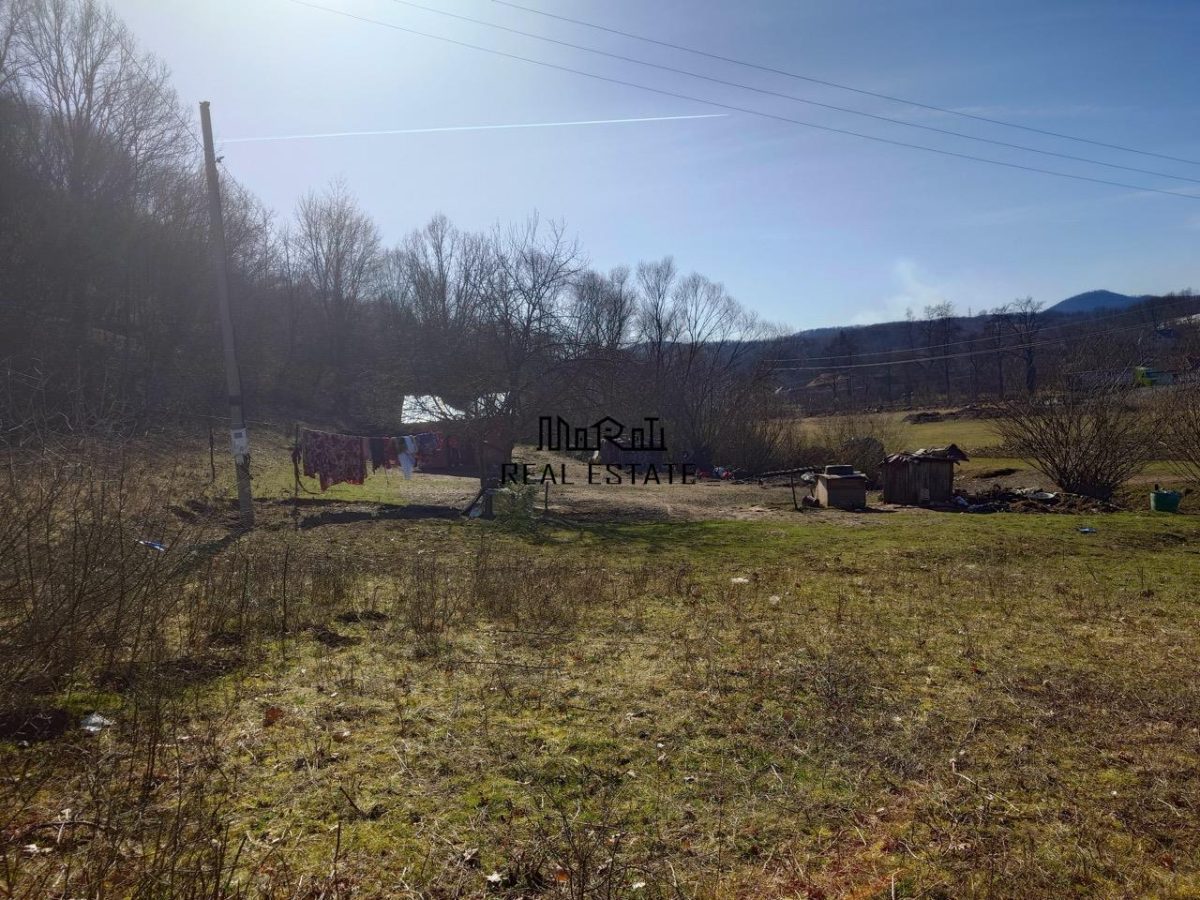 Teren intravilan la liziera padurii - foto 6