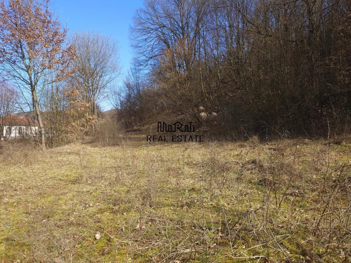 Teren intravilan la liziera padurii - foto 9