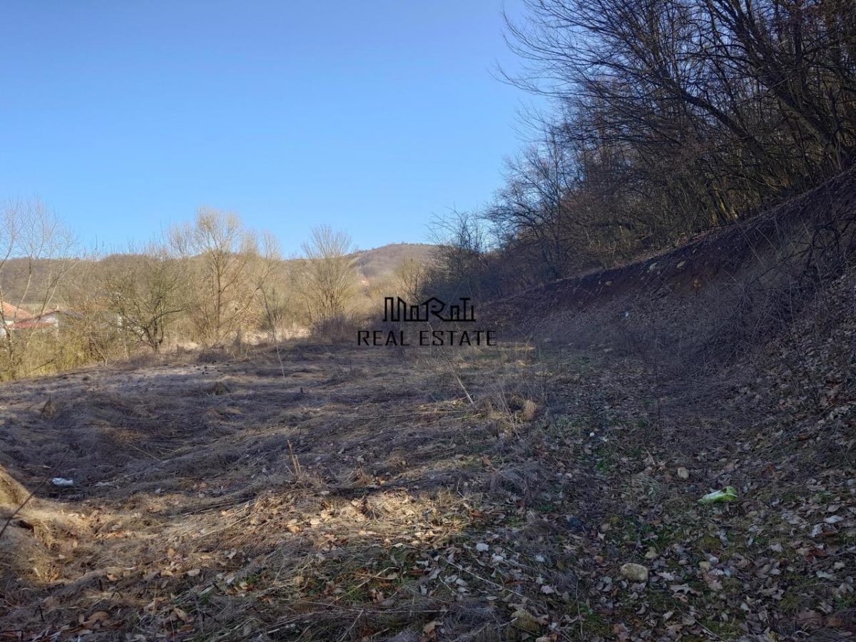 Teren intravilan la liziera padurii - foto 10