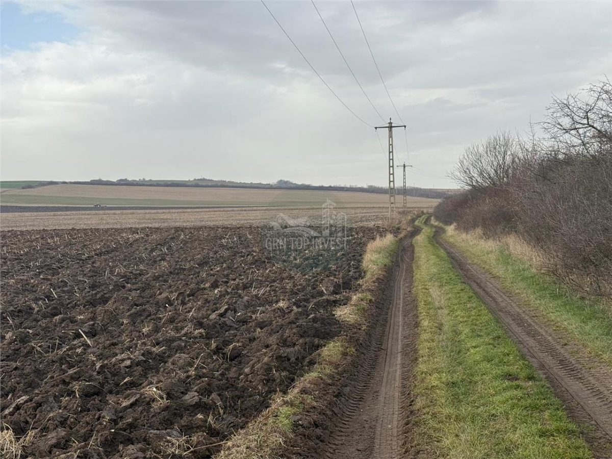 Teren extravilan in EXCLUSIVITATE 20300 mp in Sura Mica - 