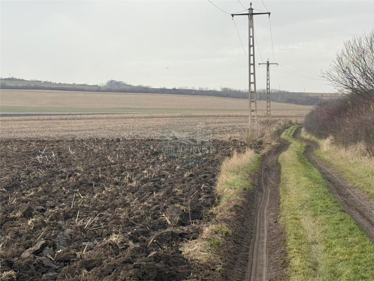 Teren extravilan in EXCLUSIVITATE 20300 mp in Sura Mica - foto 2