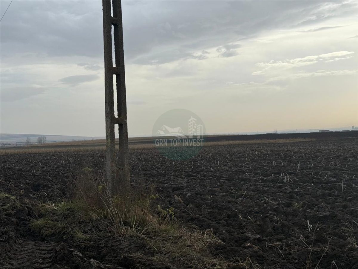 Teren extravilan in EXCLUSIVITATE 20300 mp in Sura Mica - foto 3