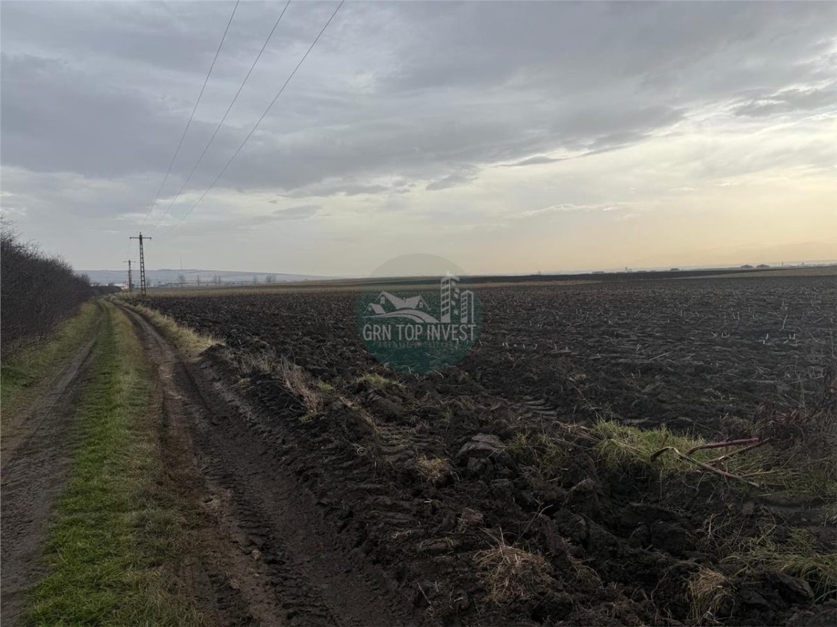 Teren extravilan in EXCLUSIVITATE 20300 mp in Sura Mica - foto 4