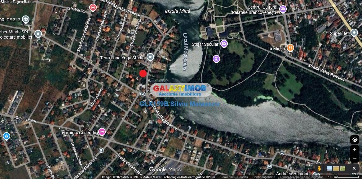 Mogosoaia 2.399 Mp str. Martha Bibescu IDEAL INVESTITIE - foto 3