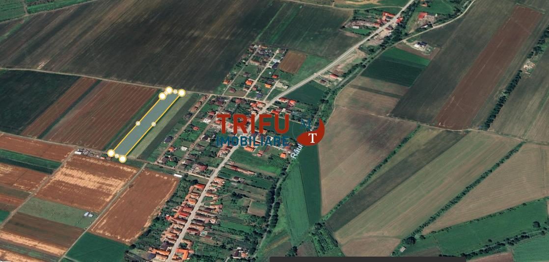 Teren intravilan de vanzare Sard ! - 