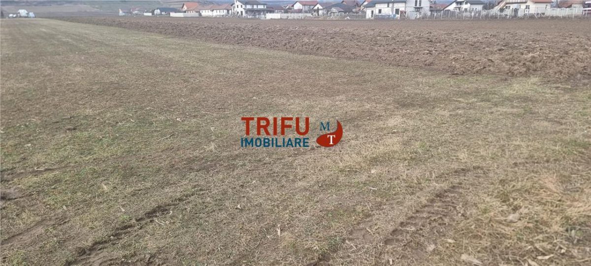 Teren intravilan de vanzare Sard ! - foto 3