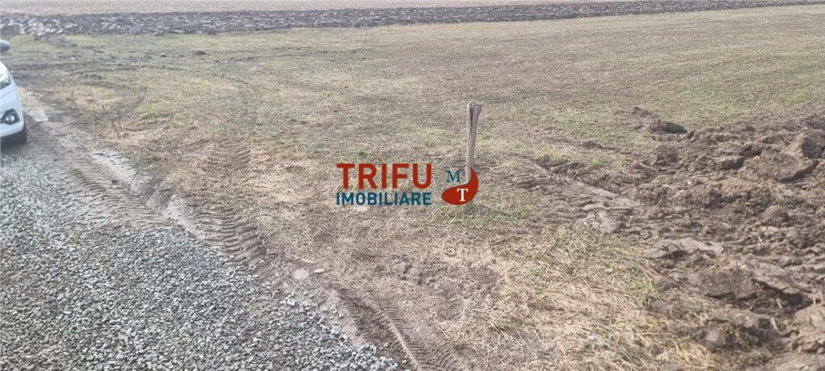 Teren intravilan de vanzare Sard ! - foto 4