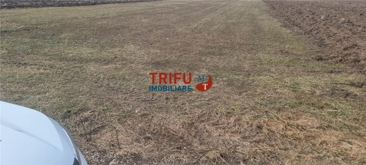 Teren intravilan de vanzare Sard ! - foto 5