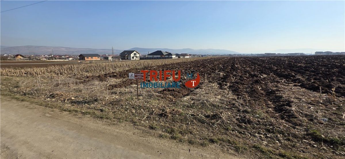 Teren de vanzare 2097mp strada Nazaret Ilit - foto 2