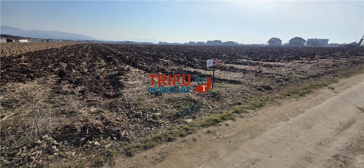 Teren de vanzare 2097mp strada Nazaret Ilit - foto 3