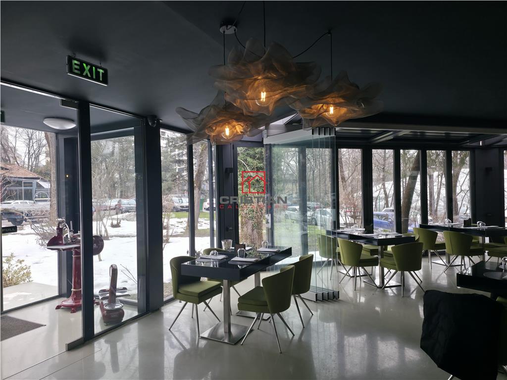 Vanzare spatiu comercial/restaurant/afacere la cheie  Nordului - Herastrau Parc, Bucuresti - foto 2