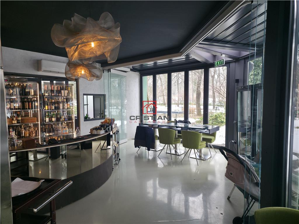 Vanzare spatiu comercial/restaurant/afacere la cheie  Nordului - Herastrau Parc, Bucuresti - foto 6