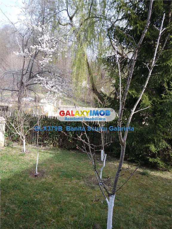 Vanzare vila  4 camere ,730 mp zona Izvoarele, jud Prahova - foto 10