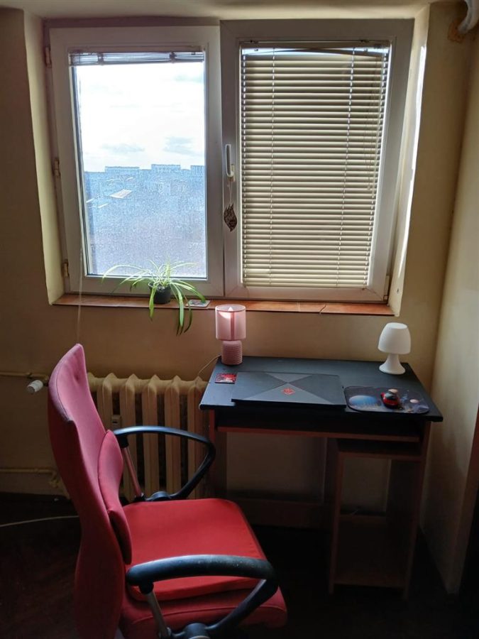 Apartament 3 camere zona Victoriei-Titulescu - foto 9